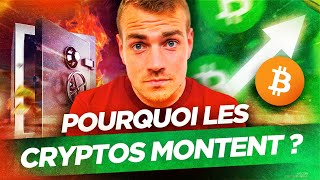 Hausse des Cryptos  pourquoi  Que se passetil [upl. by Chil]