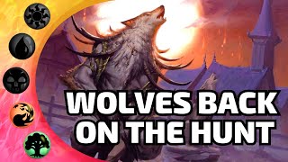 🔴🟢This is a Game Changer For Werewolves  MTG Arena Ixalan Standard Aggro Deck List [upl. by Ellenij]