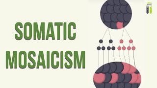 Mosaicisms  Part 2  Somatic Mosaicism [upl. by Uehttam]