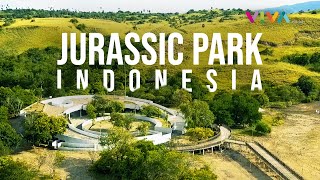 Wajah Baru Pulau Rinca Labuan Bajo Jurassic Park Komodo Indonesia [upl. by Nomal]