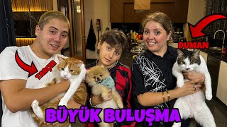 CİROYU KEDİLERİMİZLE BULUŞTURDUK  BÜYÜK BULUŞMA [upl. by Wadleigh826]