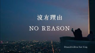 沒有理由 Mei You Li You  no reason  Chinese lyrics  pinyin  English Translation [upl. by Aelber]