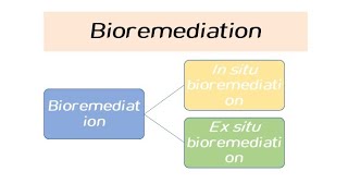 Bioremediation in Hindi [upl. by Edythe]