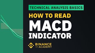 How to Read MACD Indicator ｜Explained For Beginners [upl. by Engen]