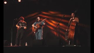 Little Sadie  Live at Welly Fest 🌱✨ [upl. by Channing]