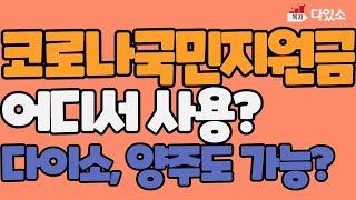 국민지원금 5차재난지원금 사용처와 신청방법은 다이소도 사용가능한곳 [upl. by Ellehcear316]