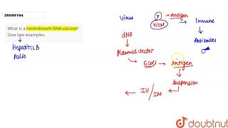 What is a recombinant DNA vaccine Give two examples [upl. by Atnaloj]