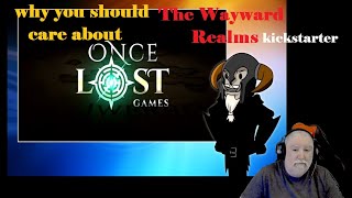 Why You Should Care About The Wayward Realms Kickstarter [upl. by Eirolam]