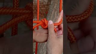 Alpine Butterfly Loop Knot Use short rope knot survivalknots loopknot [upl. by Truk]