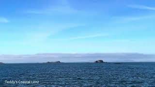 North Berwick beach 🏖️ [upl. by Ateiram]