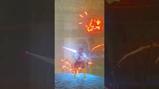 Another blind parry zelda botw gaming gamer nintendoswitch totk tearsofthekingdom videogame [upl. by Araes]