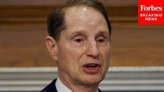 Ron Wyden Leads Senate Finance Committee Hearing On Work amp Social Security Disability Benefits [upl. by Okramed]