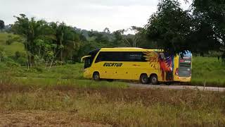 Ônibus Eucatur amarelo belos busão [upl. by Lanae602]