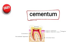 cementum [upl. by Ming]