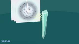 Methods for Determining Atomic Structures Xray Crystallography from PDB101 [upl. by Block35]