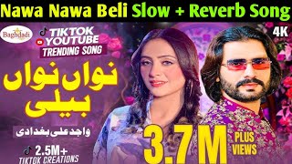 Nawa Nawa Beli Main Banya Hik Nu  Wajid Ali Baghdadi Tiktok Viral Song  2024 Saraiki Song  Slow [upl. by Aivatal]