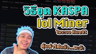 วิธีขุด KASPA KAS ในระบบ hiveOS ด้วย lolminer [upl. by Aurelea]