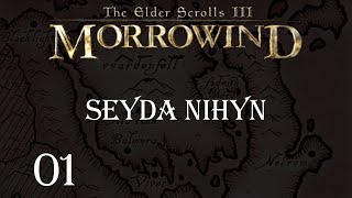 MORROWIND 100 FR  01  Seyda Nihyn [upl. by Annocahs]