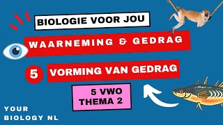 5 vwo  Waarneming amp Gedrag  5  Vorming van gedrag [upl. by Siblee]