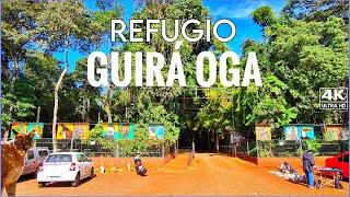 【4K】Recorriendo El Refugio de Rescate de Animales GUIRA OGA  Puerto Iguazú Misiones ARGENTINA [upl. by Leupold318]