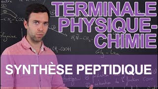 Synthèse peptidique  PhysiqueChimie  Terminale  Les Bons Profs [upl. by Germaine]