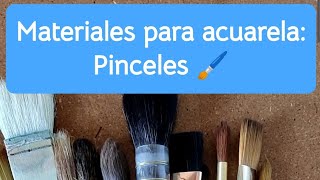 Materiales para acuarela Pinceles 🖌️ [upl. by Alleuqahs525]