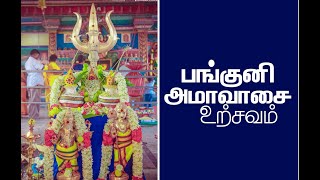 பங்குனி அமாவாசை உற்சவம் 2024 [upl. by Lorollas]