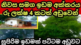 අක්කරයක් ලක්ෂ 4 කටත් වඩා අඩුවට  Cashew land  Land for sale  House for sale  Aduwata idam [upl. by Sayette]