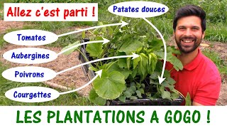 PLANTATIONS AU POTAGER 😀 [upl. by Mehsah]