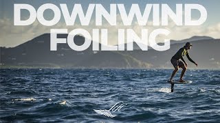 How to Downwind SUP foil [upl. by Avigdor778]