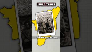 Indias Unknown Irula Tribes  shorts viral tribes [upl. by Wey]