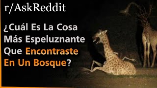 ¿Cuál Es La Cosa Más Espeluznante Que Encontraste En Un Bosque  Askreddit [upl. by Ringe764]