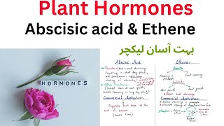 abscisic acid amp Ethene  12 Class biology 2ndyearbiology [upl. by Etteuqram180]