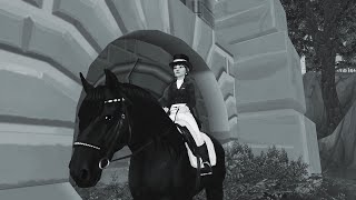 showing off my horse sso video [upl. by Amasa492]