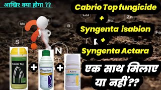 Cabrio Top fungicide  Syngenta Ishabion  Syngenta Actara experiment Vedio Agriculture [upl. by Neyrb849]