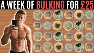 A WEEK OF BULKING FOR £25  Meal Prep on a Budget [upl. by Katushka]