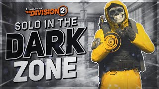 The BEST SOLO DARK ZONE Build in The Division 2 RIGHT NOW [upl. by Changaris851]