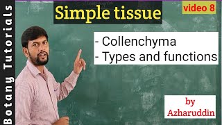 Simple tissue  Collenchyma  Structure types amp functions [upl. by Miguelita]