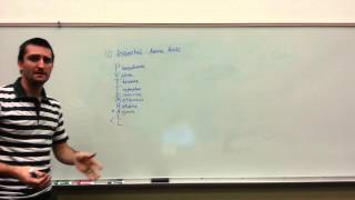 Essential Amino Acid basics [upl. by Zicarelli10]