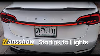 Tesla Model 3Y Hansshow Starlink Full width Tail light tutorial [upl. by Anivel]