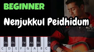 Nenjukkul Peidhidum BEGINNER Piano Tutorial [upl. by Redmer]