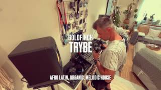 TRYBE by GOLDFINCH  092024  Afro Latin Organic Melodic House DJ Mix [upl. by Musa]