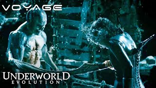 Underworld Evolution  Selenes Final Battle Against Markus  Voyage [upl. by Patricia98]