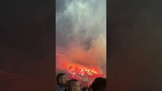 Red Star Belgrade Fans in Action Serbia delije football [upl. by Apollo]