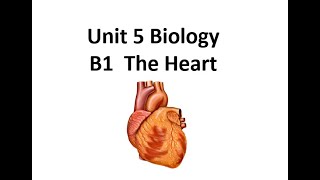 BTEC Applied Science Unit 5 B1 The Heart [upl. by Aseyt]