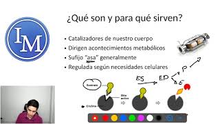 Bioquímica  Enzimas  Catalizadores Enzimáticos [upl. by Ajuna]