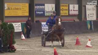 Enkelspan Pony Finale Mini Marathon Panningen 2014 [upl. by Sahpec]