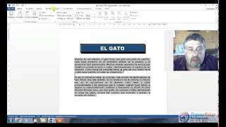 El Gato 01  Ejercicio de Word Practico Resuelto paso a paso  Nivel medio [upl. by Mulloy]