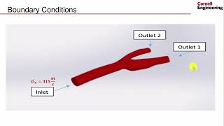 PreAnalysis  Steady Flow in an Artery [upl. by Aerdnu689]