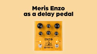 Amazing Delays with the Meris Enzo [upl. by Leeda522]